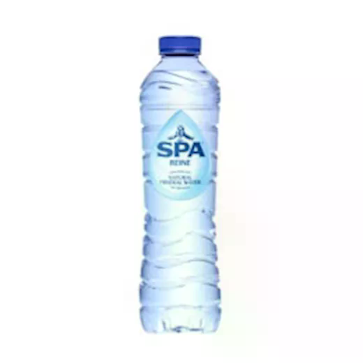 SPA REINE PET - 24X 50 CL